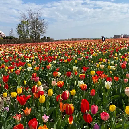 Costa C En E B&B 노르트베이크