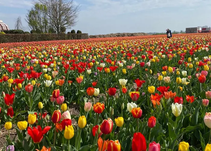 Costa C En E Bed & Breakfast Noordwijk